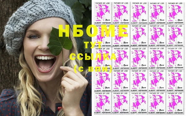 хмурый Михайловск