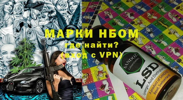 гашик Михайлов
