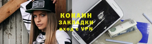 индика Чегем