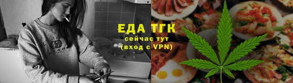 гашик Михайлов