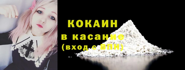 гашик Михайлов
