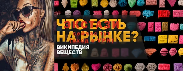 хмурый Михайловск