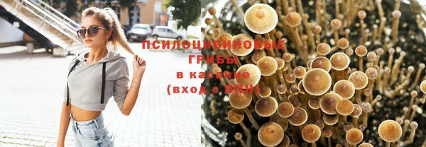 метадон Медвежьегорск