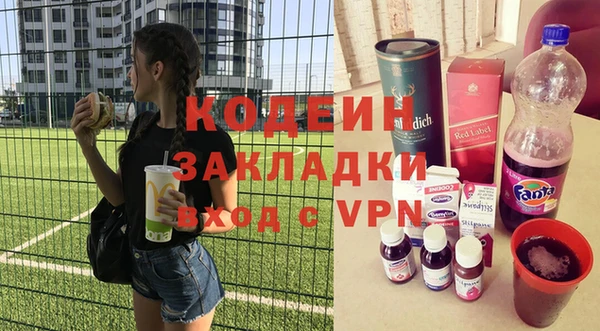 хмурый Михайловск