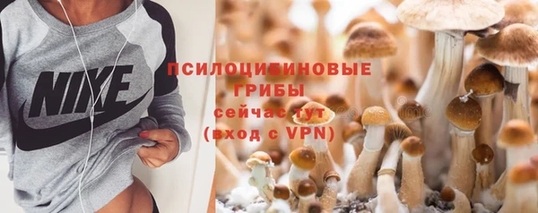 хмурый Михайловск
