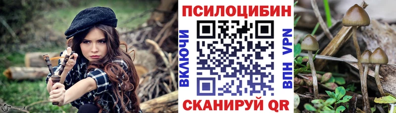 Псилоцибиновые грибы прущие грибы  наркота  Нововоронеж 