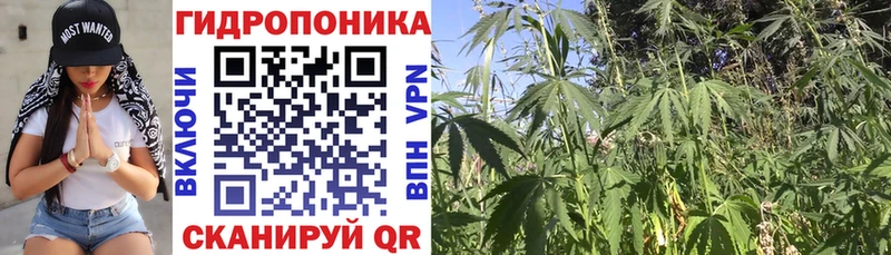 Бошки Шишки White Widow Нововоронеж